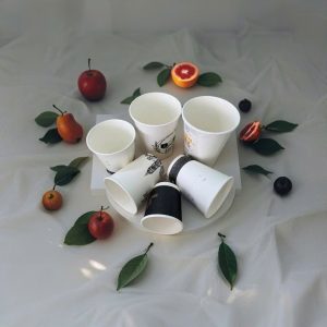 Ly Giấy 1