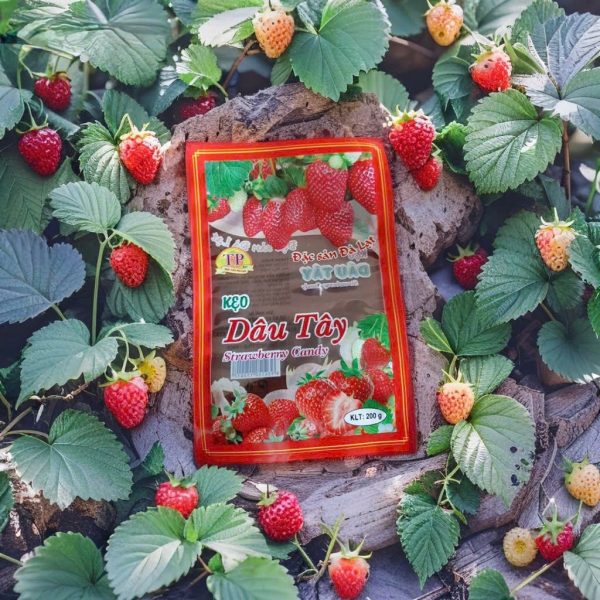 Bao Bì Màng Ghép 4